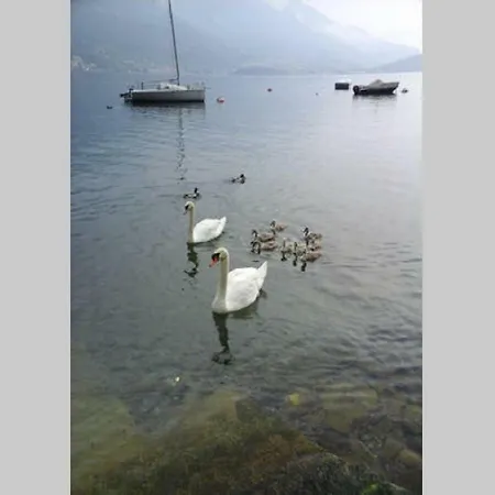 Appartement Vista - Mary Lezzeno