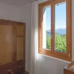 Vista - Mary Лезено